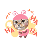ねこだけどイタチ（個別スタンプ：3）