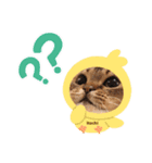 ねこだけどイタチ（個別スタンプ：4）