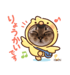 ねこだけどイタチ（個別スタンプ：6）