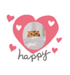 ねこだけどイタチ（個別スタンプ：10）