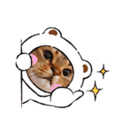 ねこだけどイタチ（個別スタンプ：15）