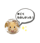 おもちはじめました（個別スタンプ：8）