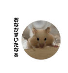 おもちはじめました（個別スタンプ：9）
