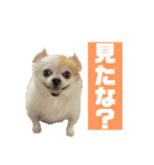 むぎぃさんのスタンプ（個別スタンプ：5）