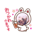 〜トイプードルのチョコ〜（個別スタンプ：3）