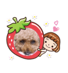 〜トイプードルのチョコ〜（個別スタンプ：6）