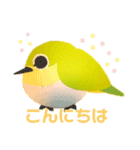 めじろのめっちゃん（個別スタンプ：1）