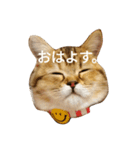 ぺこぽこスタンプ3（個別スタンプ：2）