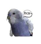 フジオキ2（個別スタンプ：2）