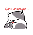 NO5スタンプ（個別スタンプ：6）