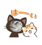 大好きディアナちゃん（個別スタンプ：3）