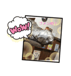 大好きディアナちゃん（個別スタンプ：9）
