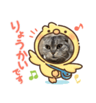大好きディアナちゃん（個別スタンプ：16）