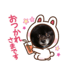うちのわんこのクロム君／日常（個別スタンプ：20）