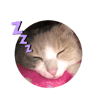 たかきオリジナル（個別スタンプ：6）