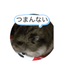たかきオリジナル（個別スタンプ：8）