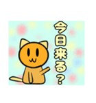 にゃんスタ1-1（個別スタンプ：3）