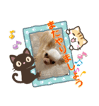 ラナくん4（個別スタンプ：11）