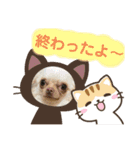 ラナくん4（個別スタンプ：14）