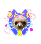 ラナくん4（個別スタンプ：16）