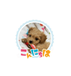 bungoのスタンプ2．（個別スタンプ：10）