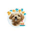bungoのスタンプ2．（個別スタンプ：12）
