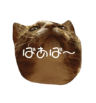 たまたまたまたまたまたまたま（個別スタンプ：2）