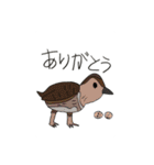生き物いっぱい2（個別スタンプ：20）