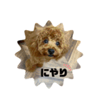 ゆずララの日常（個別スタンプ：6）