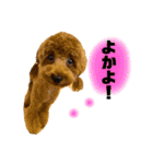 ゆずララの日常（個別スタンプ：7）