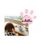 ゆずララの日常（個別スタンプ：9）