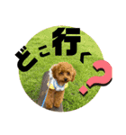 ゆずララの日常（個別スタンプ：15）