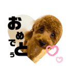 ゆずララの日常（個別スタンプ：16）