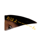 おとももも（個別スタンプ：2）