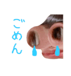 おとももも（個別スタンプ：30）