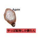鉱物コレクションスタンプ（個別スタンプ：7）