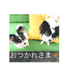 スズマロン（個別スタンプ：2）