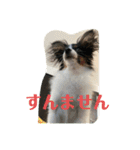 スズマロン（個別スタンプ：9）