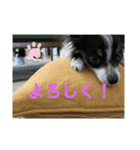 スズマロン（個別スタンプ：13）