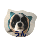 スズマロン（個別スタンプ：15）
