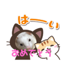 フェレットのコッパがご挨拶（個別スタンプ：8）