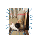 ゆりっぺ1（個別スタンプ：13）