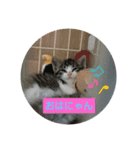 翔どんどん。（個別スタンプ：3）
