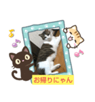 翔どんどん。（個別スタンプ：6）
