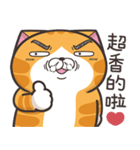 ランラン猫 22 (台湾版)（個別スタンプ：3）