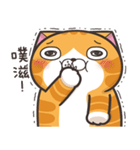 ランラン猫 22 (台湾版)（個別スタンプ：8）