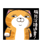 ランラン猫 22 (台湾版)（個別スタンプ：9）