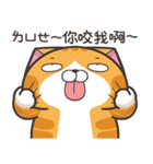 ランラン猫 22 (台湾版)（個別スタンプ：12）