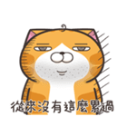 ランラン猫 22 (台湾版)（個別スタンプ：17）