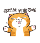 ランラン猫 22 (台湾版)（個別スタンプ：21）